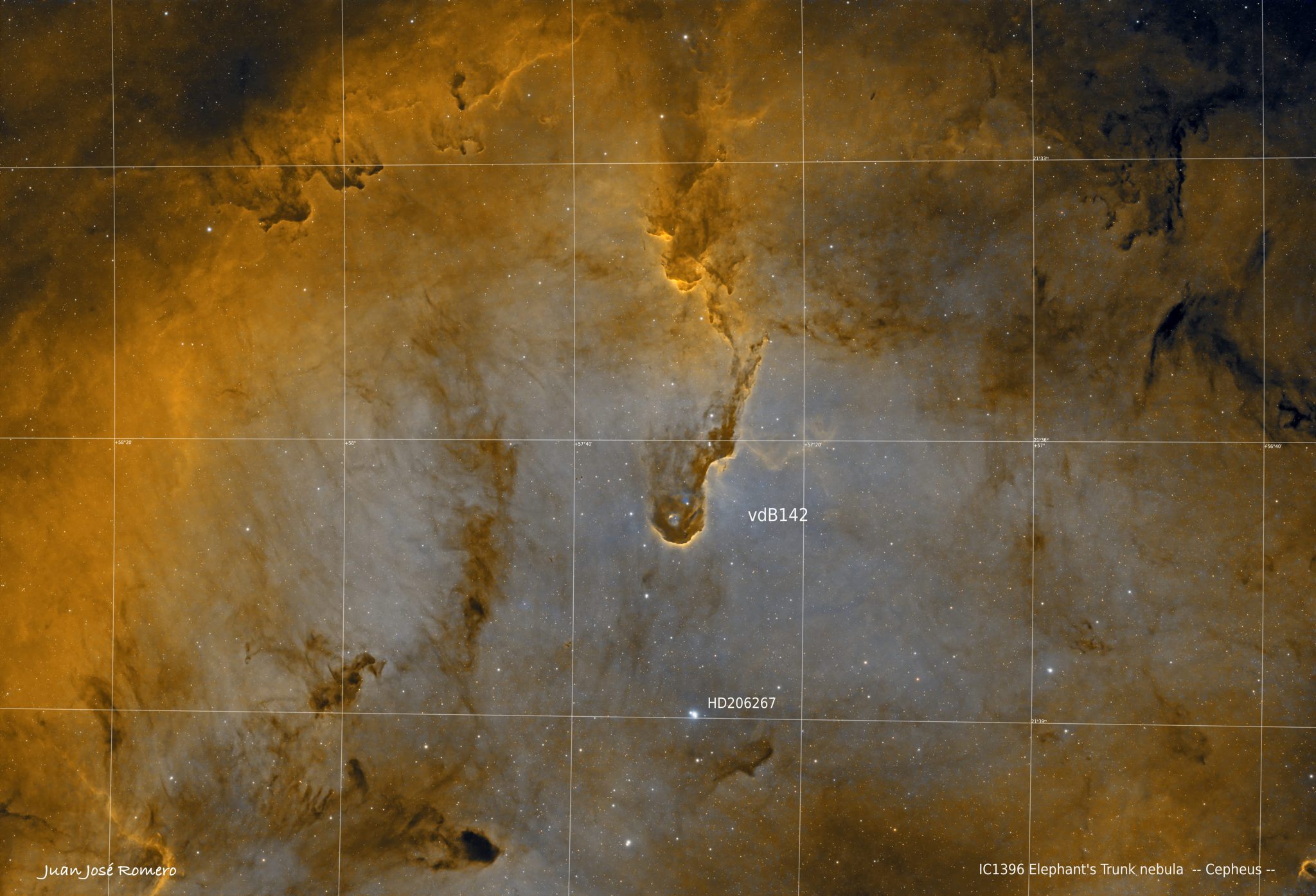 Objectes identificats: IC1396, Elephant’s Trunk Nebula