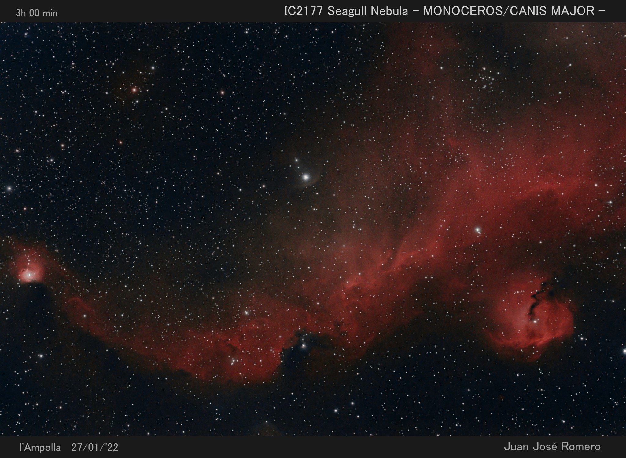 IC 2177 – Nebulosa de la Gavina