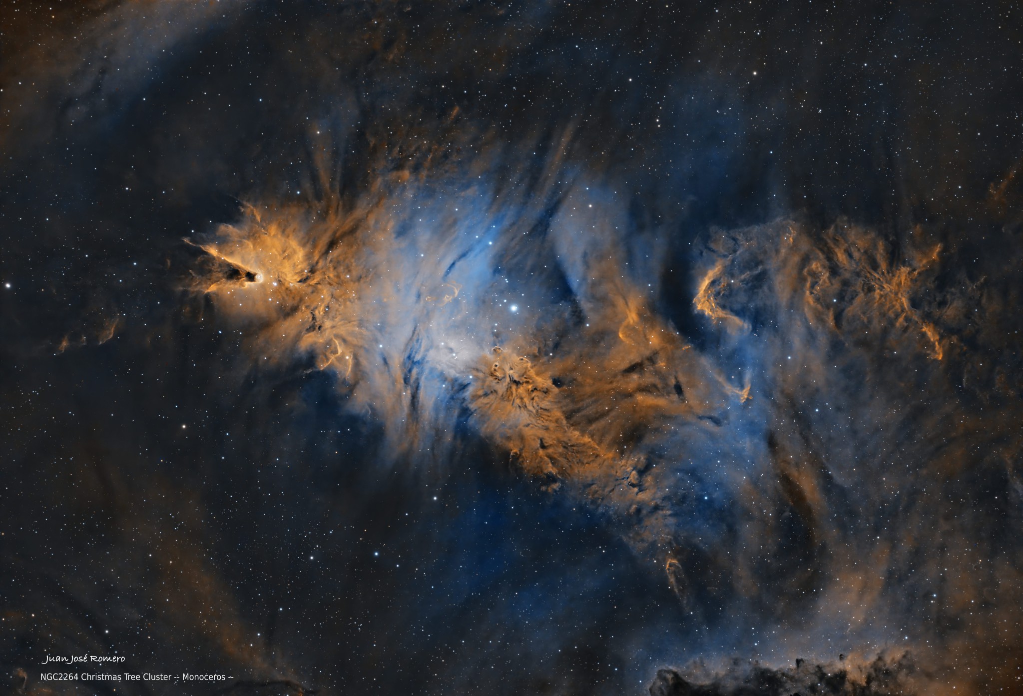NGC2264 – Cúmul de l'Arbre de Nadal i nebulosa del Con