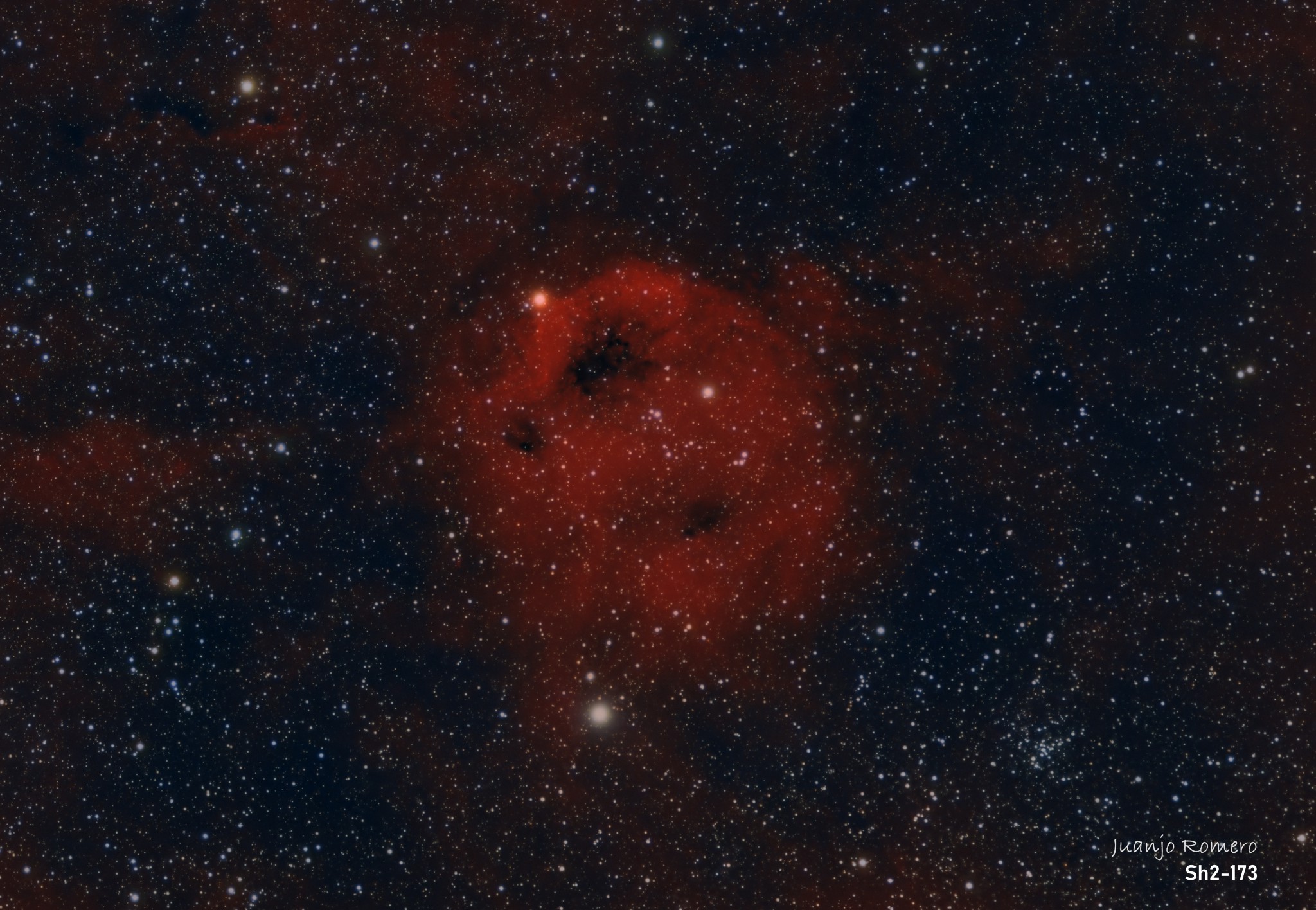 Sh2-173 – Nebulosa del Fantasma de l'Òpera